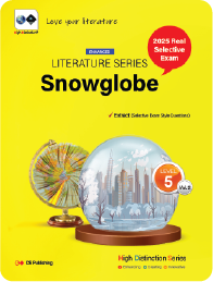 Literature Series - Snowglobe