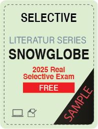 Free - Snowglobe Sample Questions