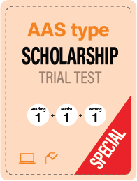 Special Scholarship 2 (AAS)