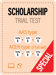 Special Scholarship
